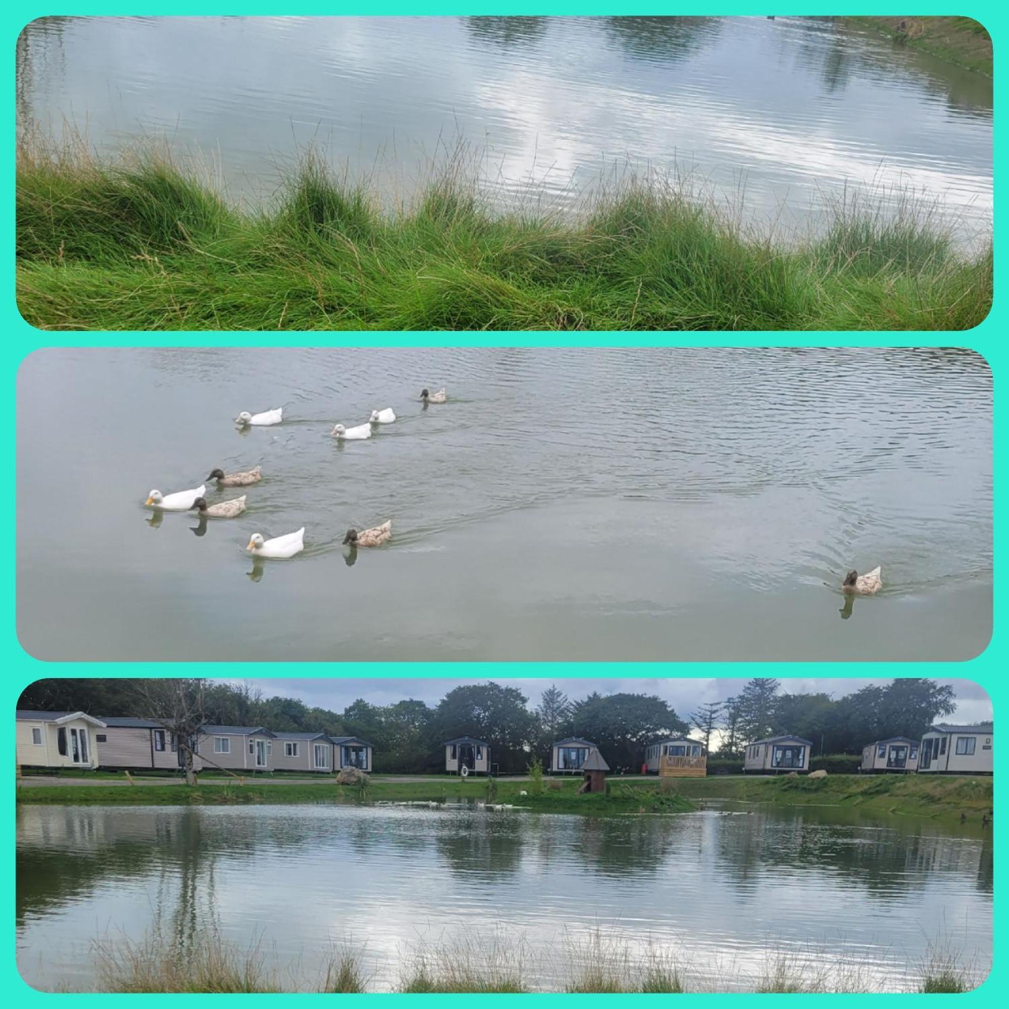 Beautiful 2 Bedroom Caravan, Holiday Park Tenby Saint Florence ภายนอก รูปภาพ